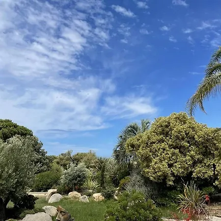 Belle Avec Piscine Privee Et Jardin Mediterraneen A - Fr-1-719-44