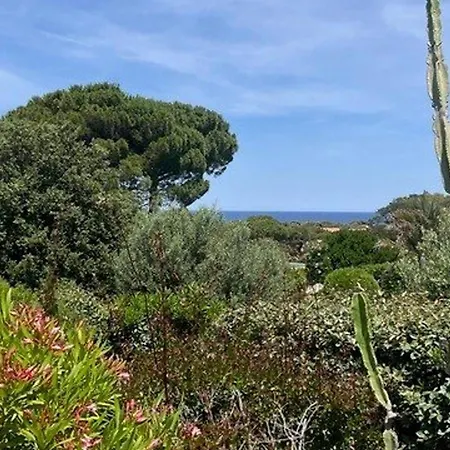 Belle Avec Piscine Privee Et Jardin Mediterraneen A - Fr-1-719-44 * Lumio (Corsica)