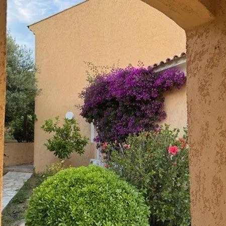 Villa Belle Avec Piscine Privee Et Jardin Mediterraneen A - Fr-1-719-44