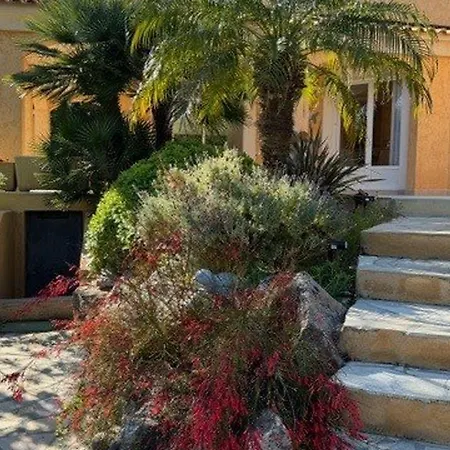 Belle Avec Piscine Privee Et Jardin Mediterraneen A - Fr-1-719-44 Lumio (Corsica)